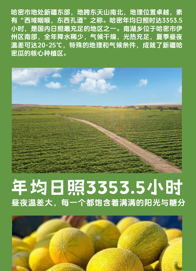 香水瓜(一包糖)详情页__03.jpg