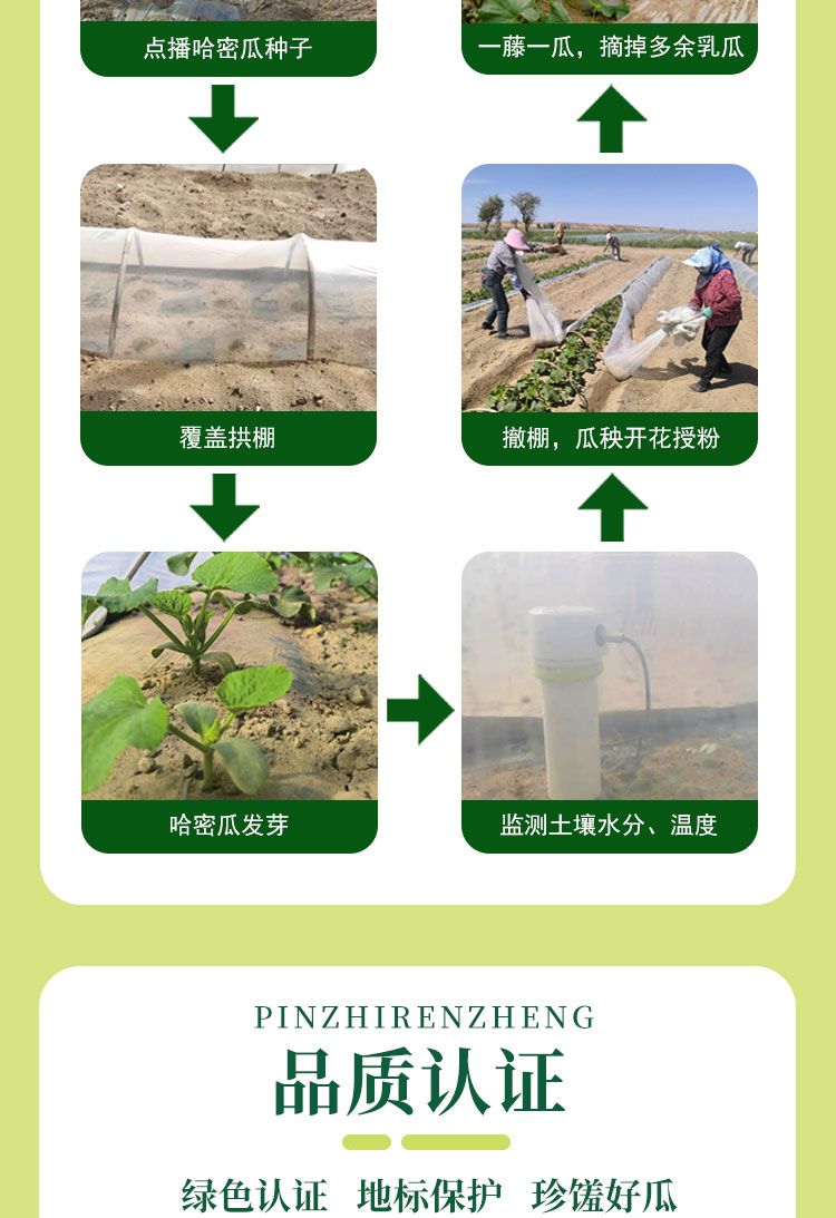 2025藤冠蜜瓜详情页_10.jpg