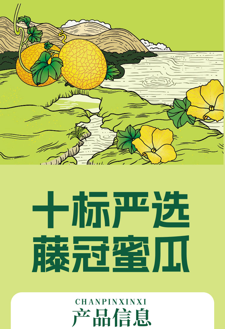 2025藤冠蜜瓜详情页_01.jpg