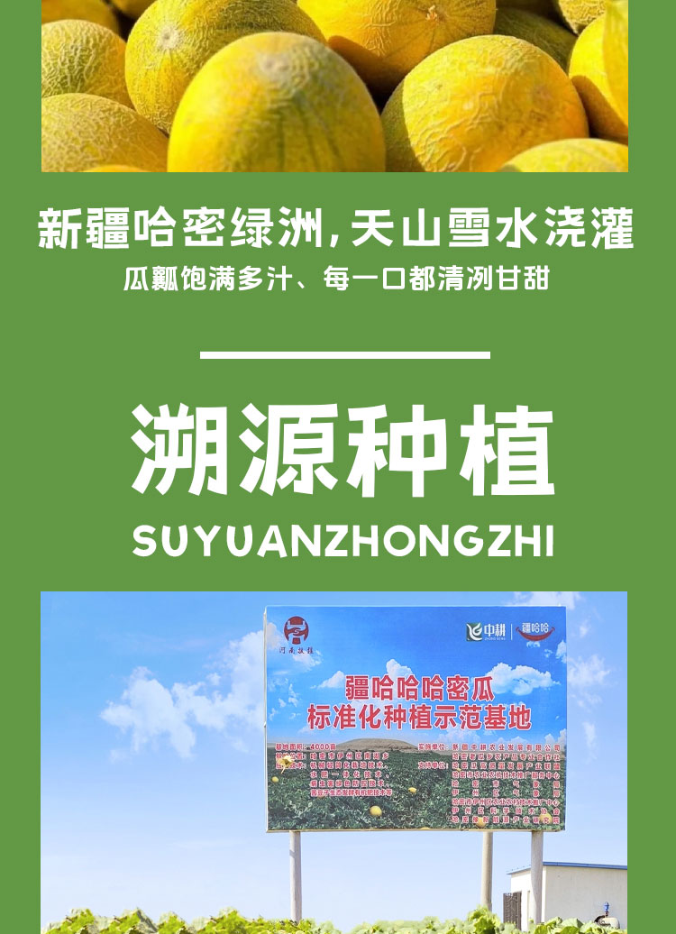 香水瓜(一包糖)详情页__04.jpg