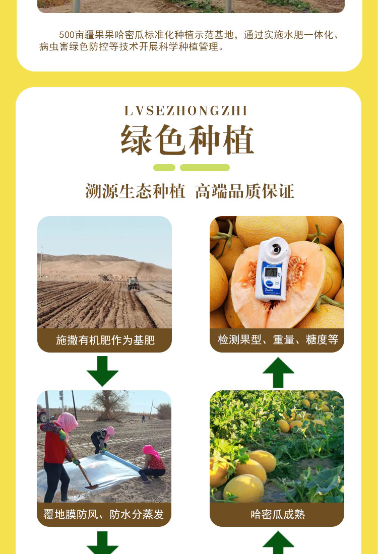太阳之子_06.jpg