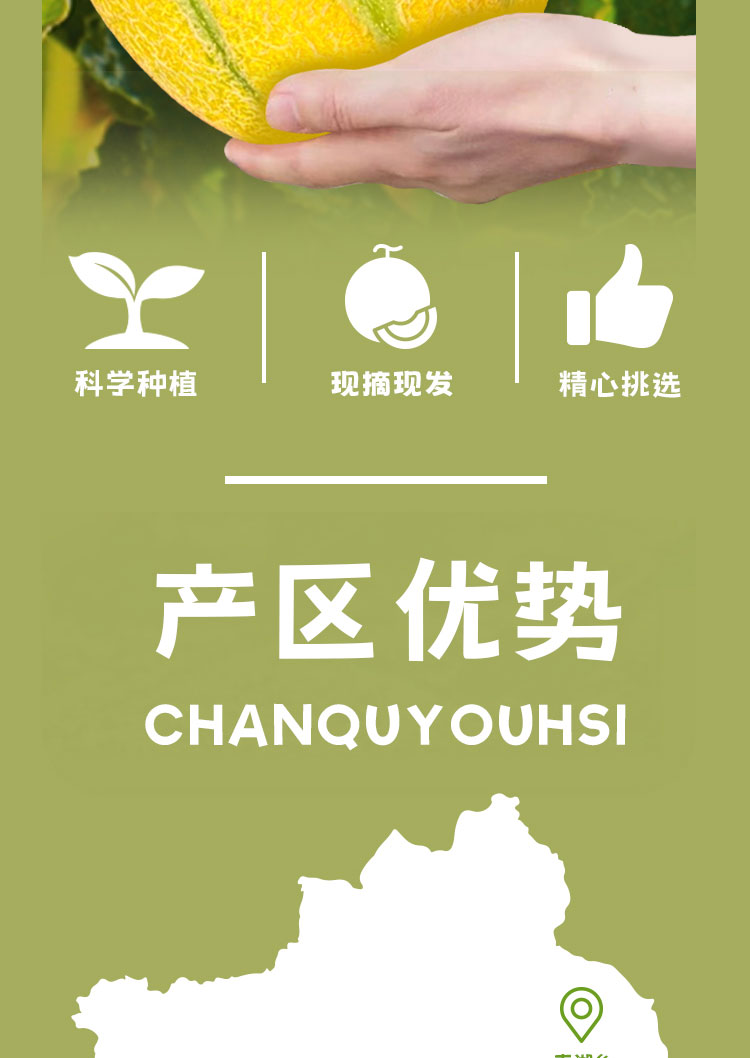 糯糯冰沙瓜（老汉瓜）详情页__02.jpg