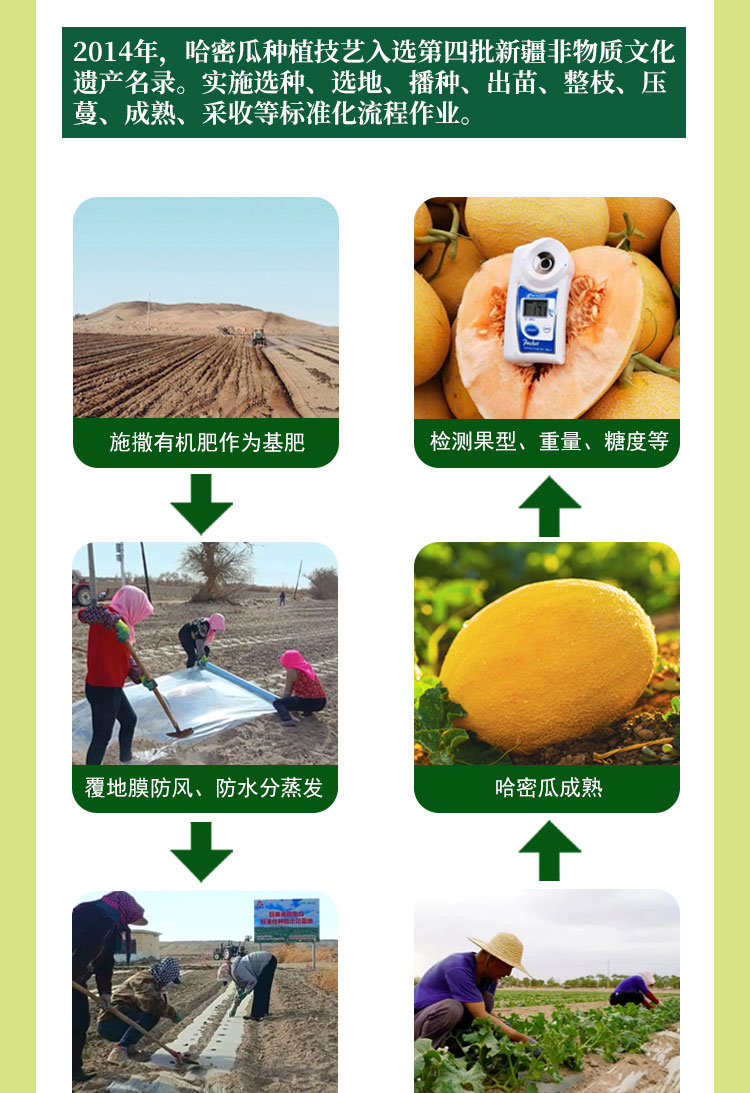 2025藤冠蜜瓜详情页_09.jpg