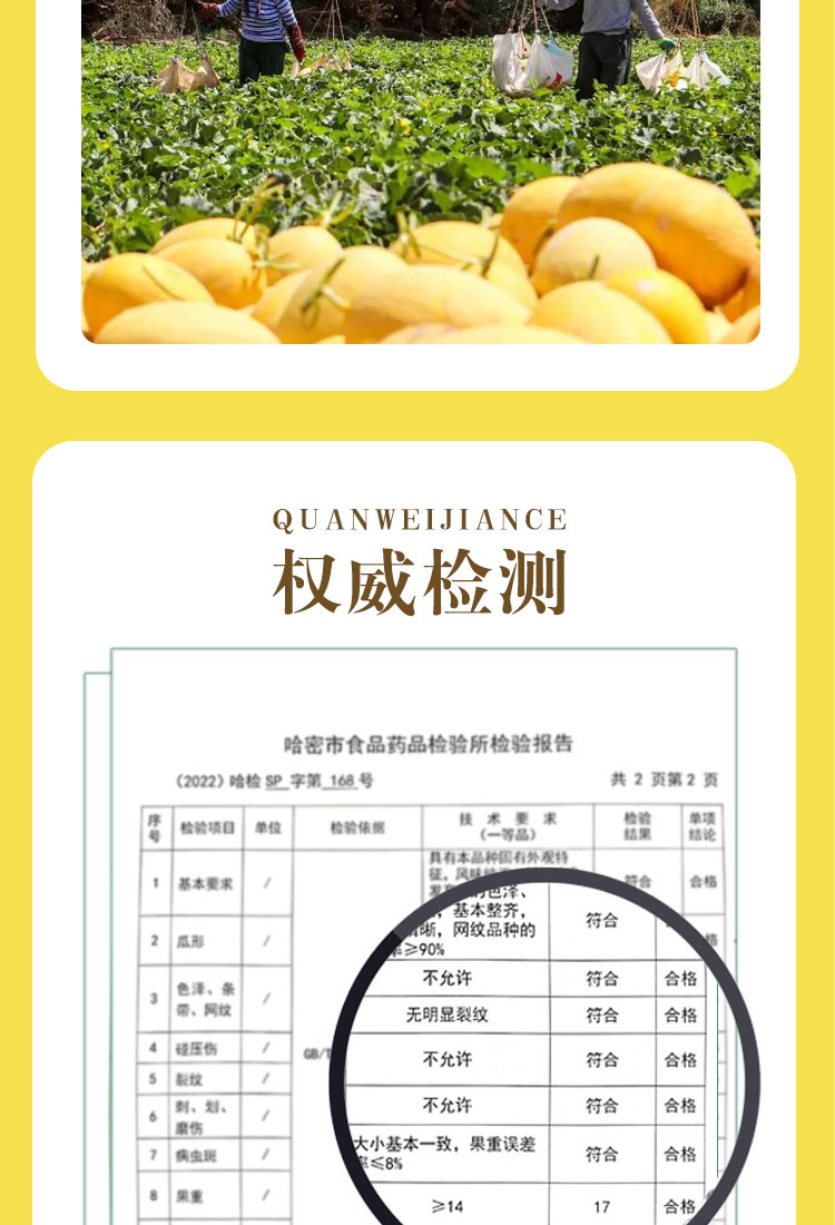 太阳之子_09.jpg