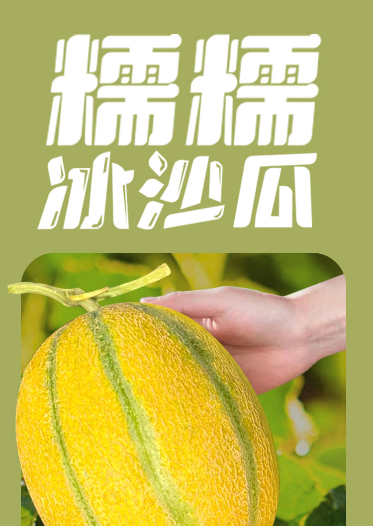 糯糯冰沙瓜（老汉瓜）详情页__01.jpg