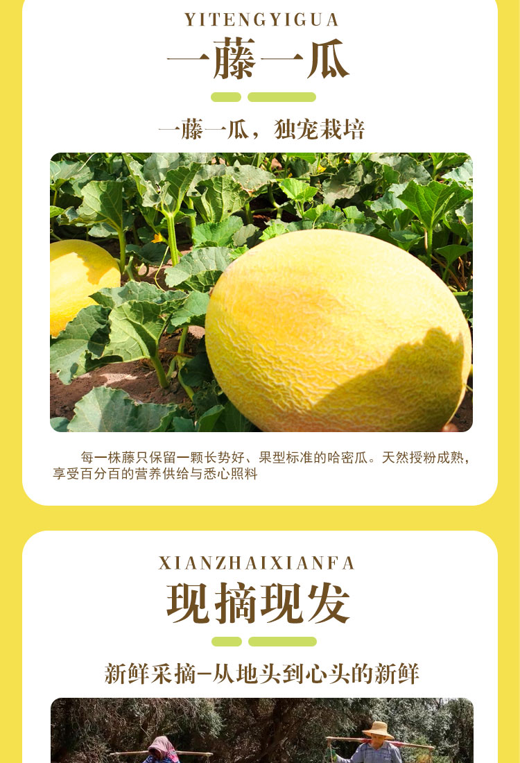 太阳之子_08.jpg