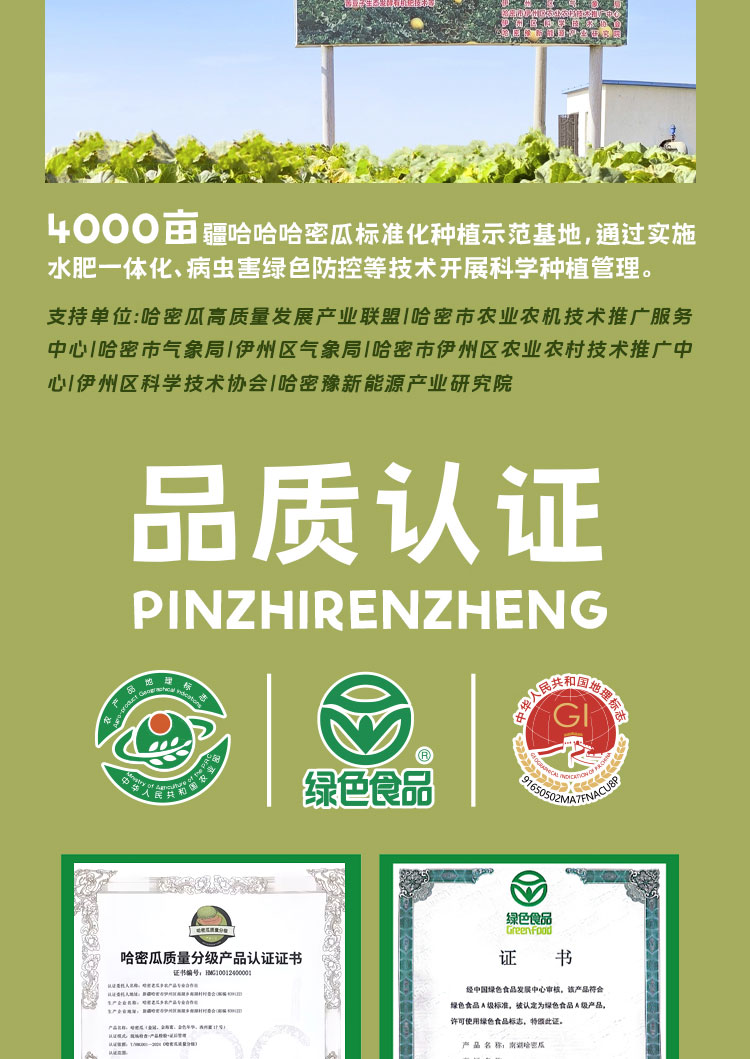 糯糯冰沙瓜（老汉瓜）详情页__05.jpg