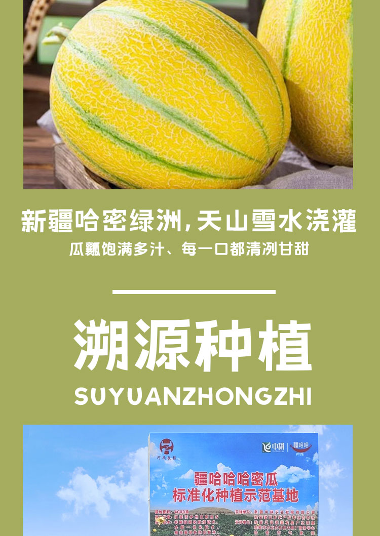 糯糯冰沙瓜（老汉瓜）详情页__04.jpg