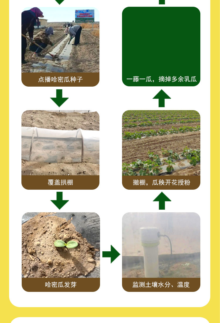 太阳之子_07.jpg