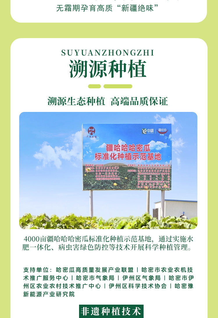 2025藤冠蜜瓜详情页_08.jpg