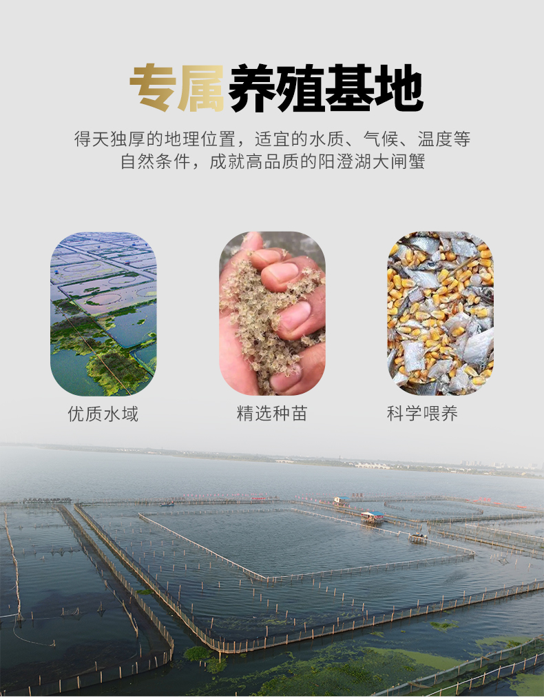 碧波甄选详情_10.jpg