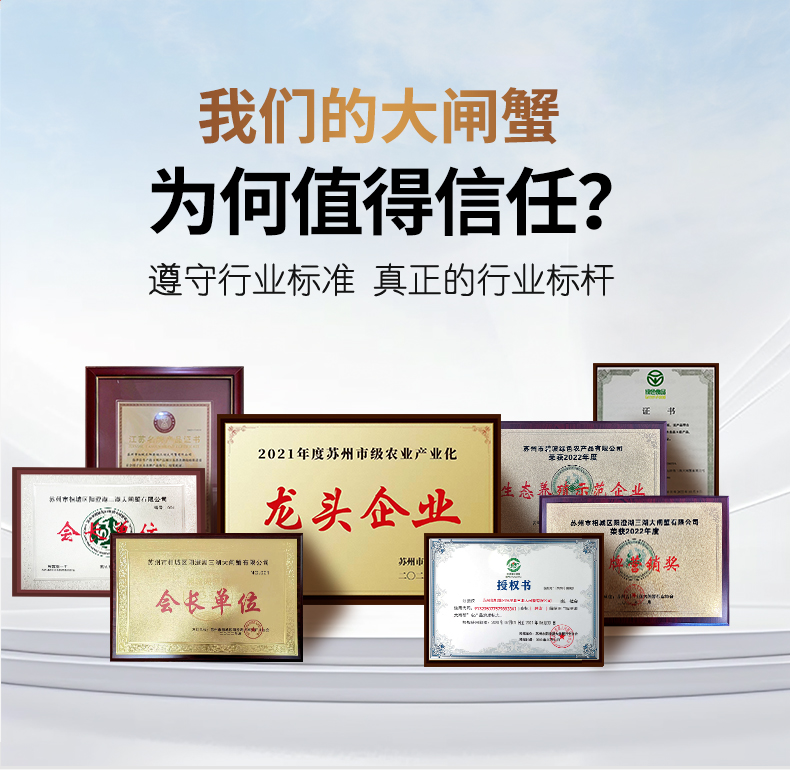 碧波甄选详情_06.jpg