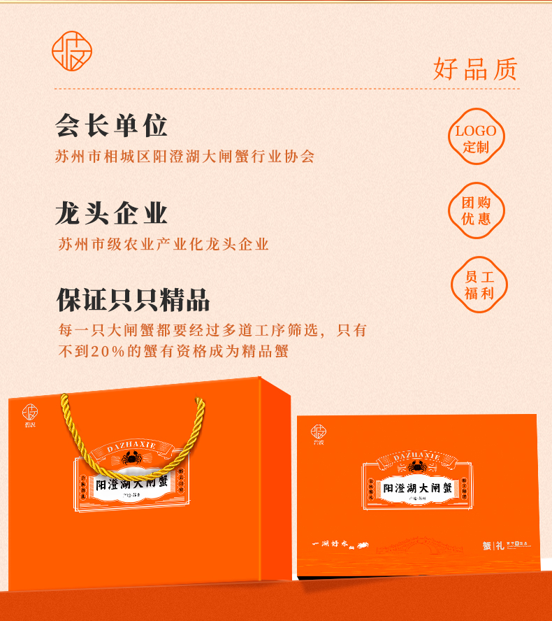 碧波甄选详情_04.jpg