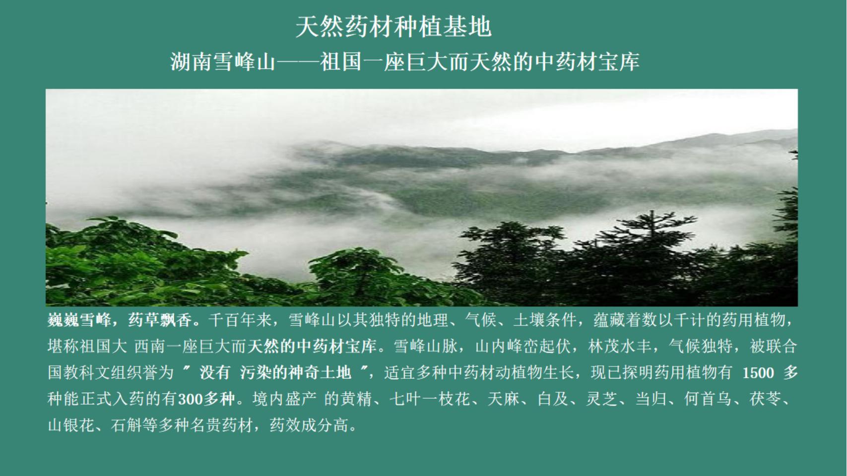 十八仓木品牌背景与产品知识2.5_15.jpg